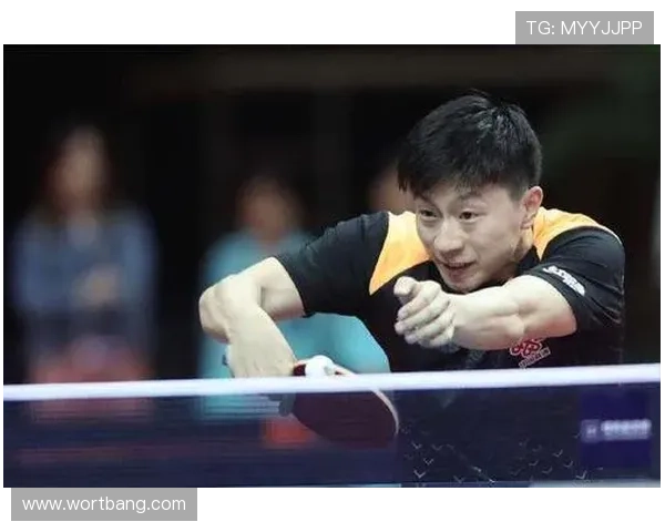 西安乒乓球队进攻体系解析与战术创新探讨